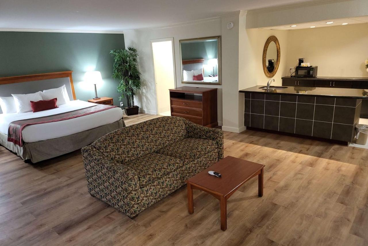 King Suite Sofa Bed Non-Smoking